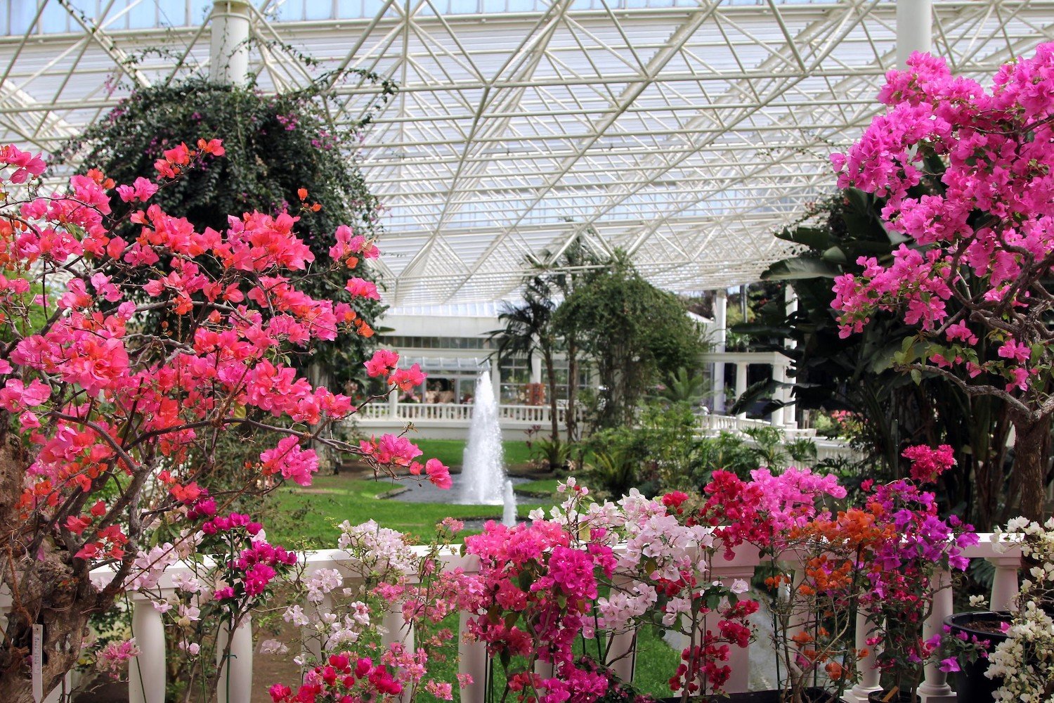 🌺 플라워파크 가고시마 (후라와파쿠 카고시마)